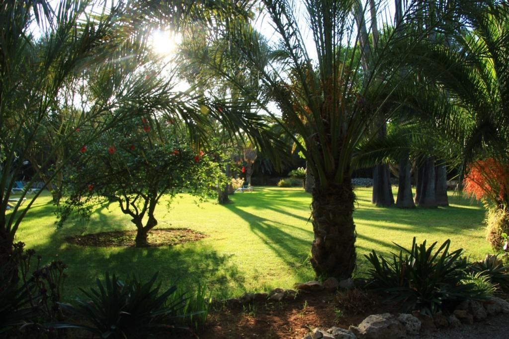 Finca Hotel Predio Son Serra Can Picafort  Esterno foto